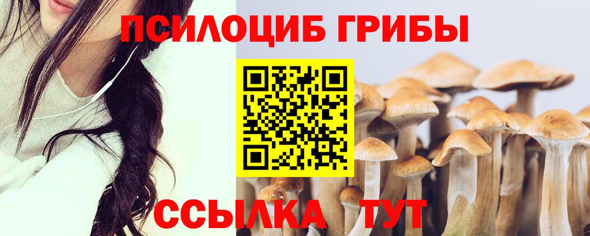 Красноармейск  Псилоцибиновые грибы мухоморы  Псилоцибиновые грибы GOLDEN TEACHER  Вход с VPN 